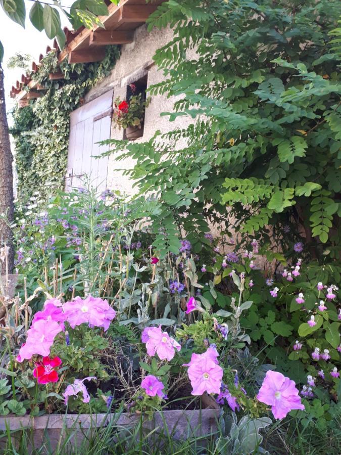 L'Orme-Vial Bed & Breakfast Saint-Galmier Exterior foto
