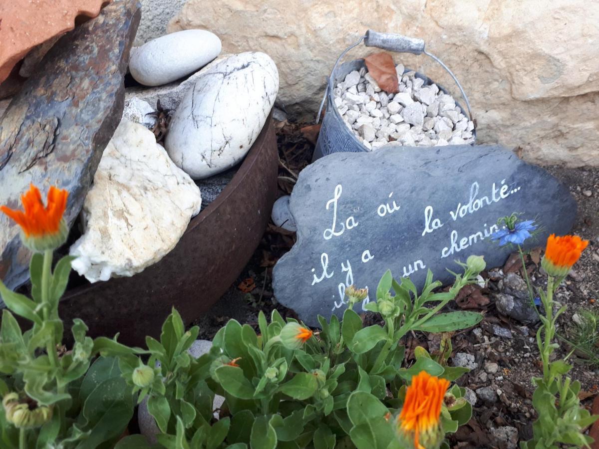 L'Orme-Vial Bed & Breakfast Saint-Galmier Exterior foto